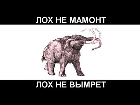 Как я сожрал своё будущее из-за Тяньши (Tiens). Исповедь лоха, который потерял всё: деньги, семью и имя