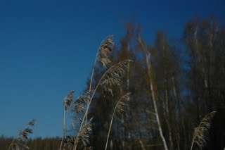 Карелия — от заката до рассвета