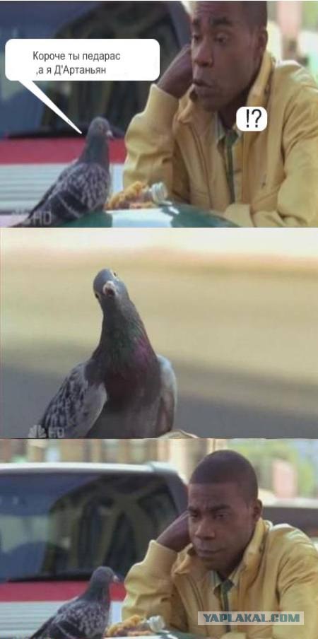 Тонкий намек
