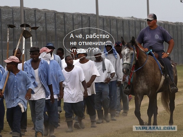 Познавательные факты обо всём на свете.