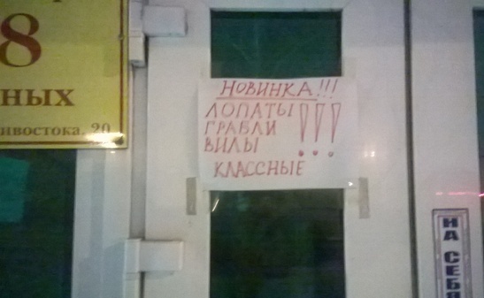Картинки