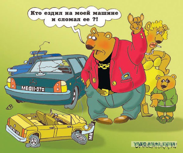 Медведи почти на все случаи жизни