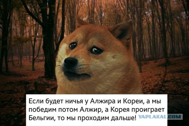 Комменты из соцсетей