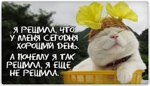 Добряки, плюсующие всех подряд