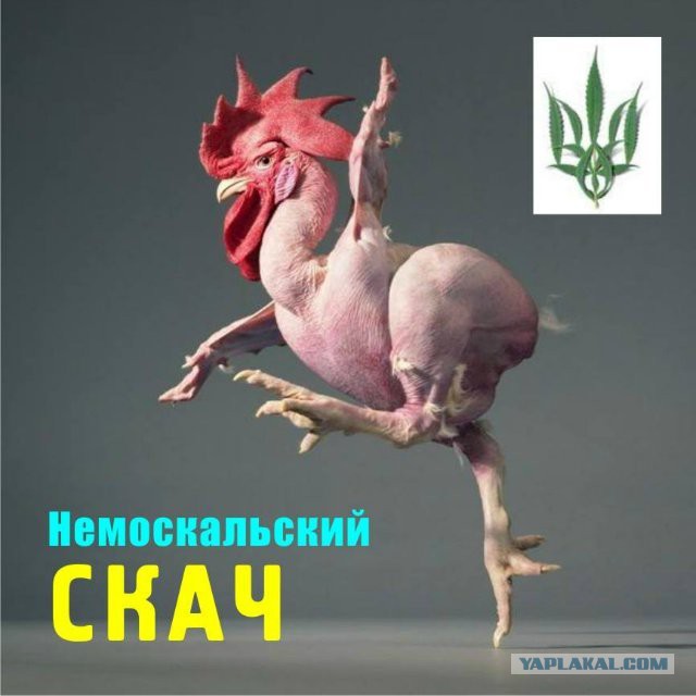 Национальные танцы