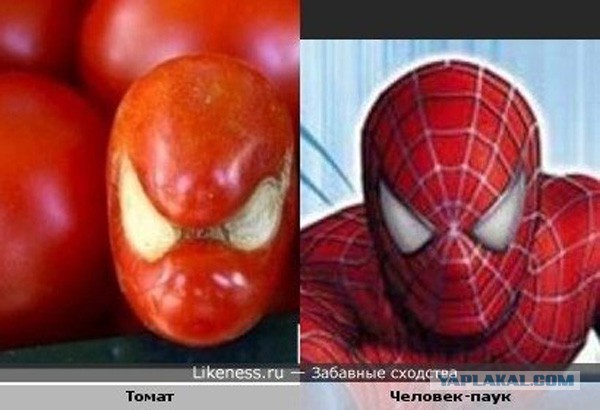 Двойники знаменитостей