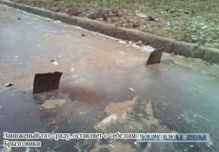 Веселые картинки