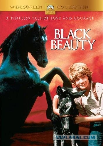 Дикий Ангел и другие сериалы молодости 90-х