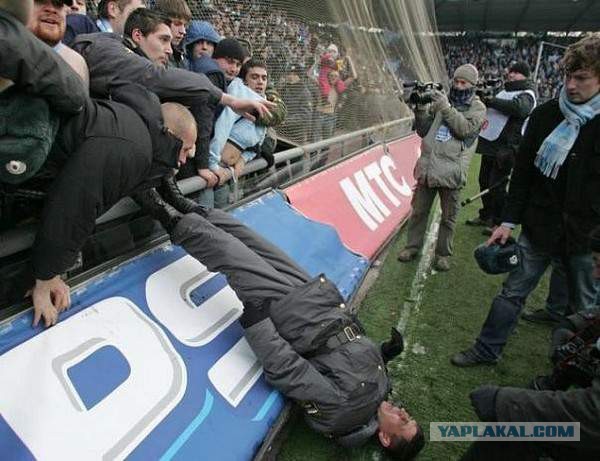 Спортивная  подборка