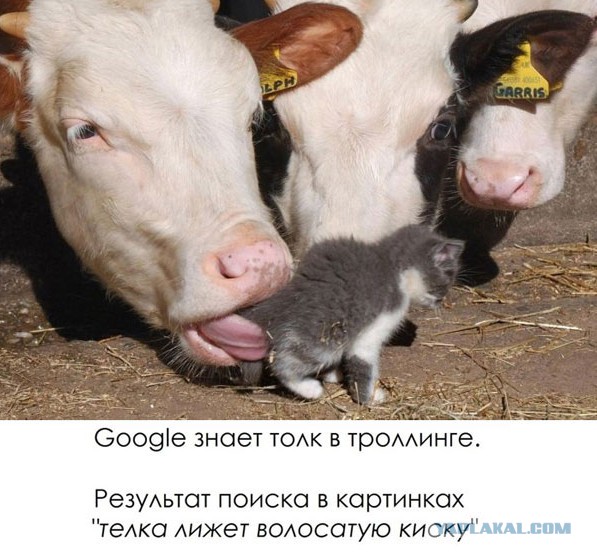 Веселости или типо того