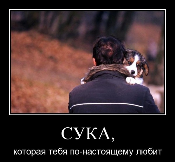 Подборка веселостей из сети