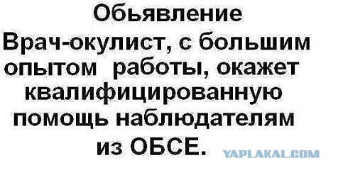 как вам работа ОБСЕ?