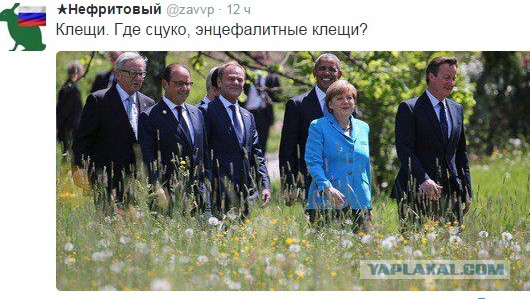 Владимир Путин  был замечен на саммите G7