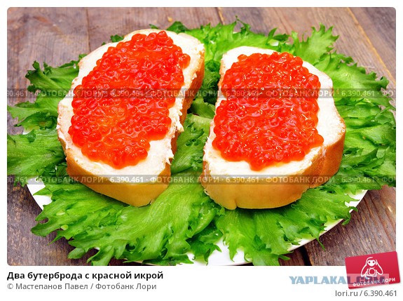 Бутерброды из разных стран мира