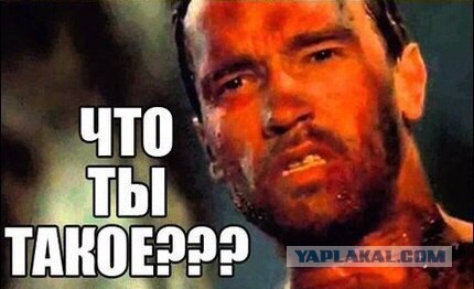 А поутру они проснулись...