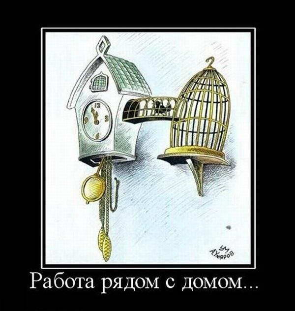 Прикольные картинки и демотиваторы