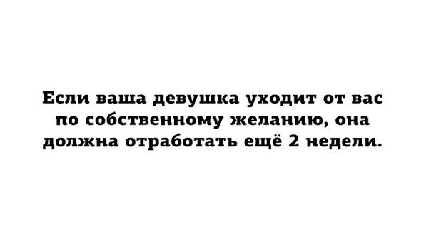 Приколы из сети