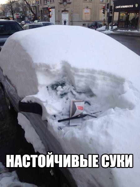 Подборка прикольных картинок