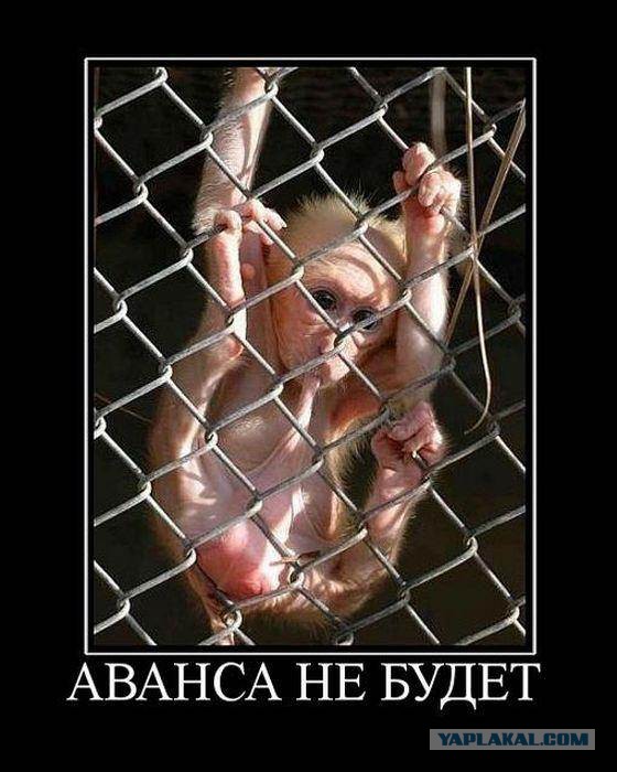 Весёлые картинки в чёрной рамке с просторов....