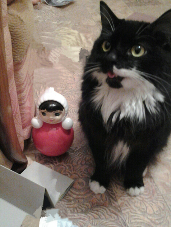 Котовторник  01.03.2016