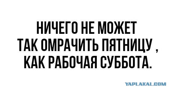 Забавные картинки из Сети