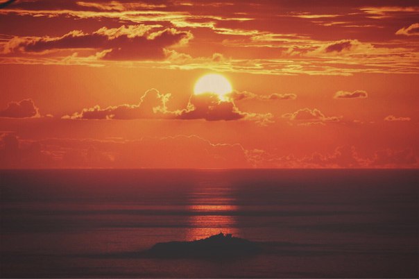 Интересные и веселые картинки