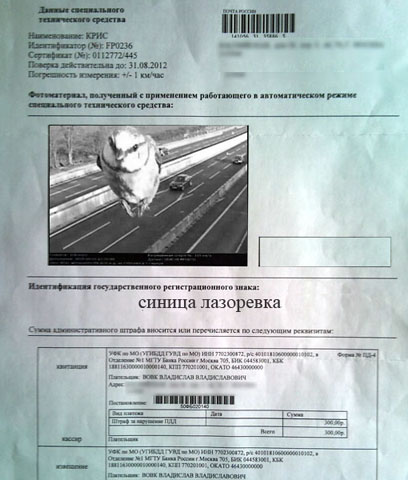 Радар зафиксировал превышение скорости. Ты не поверишь, КТО оказался нарушителем!