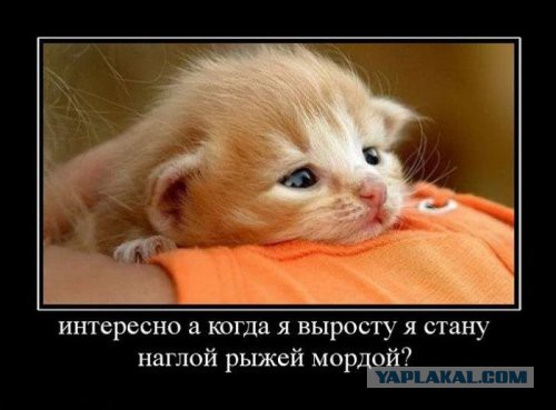 Подборка "баянов" со всего интернета