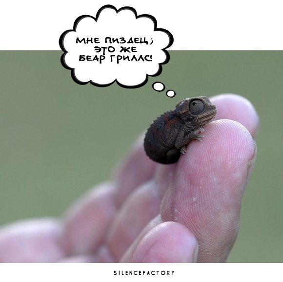 Юмор не для всех