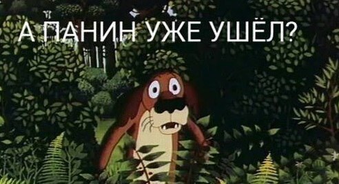 Панин ответил про собаку