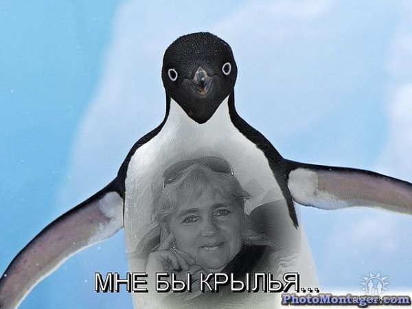 Деграклассники (2)