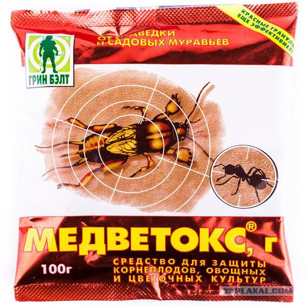 Надо запретить букву К