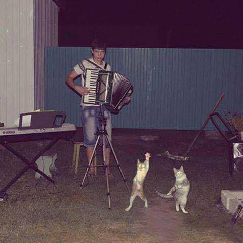 Специфический юмор