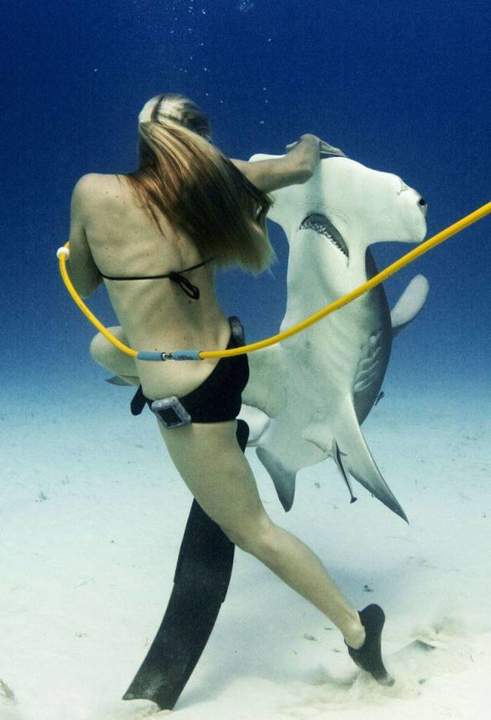 WTF: что тут происходит?