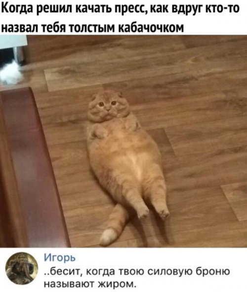 Немного картинок для настроения