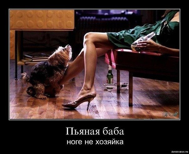 Тема уморительного алковеселья