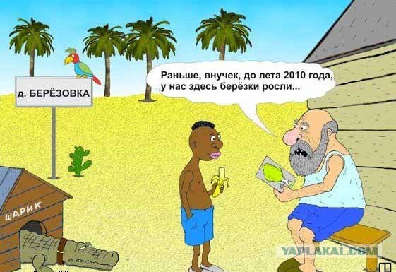 Жара - время бизнеса!