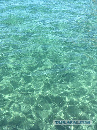 Ну, кто ещё отдохнуть на родине планирует?