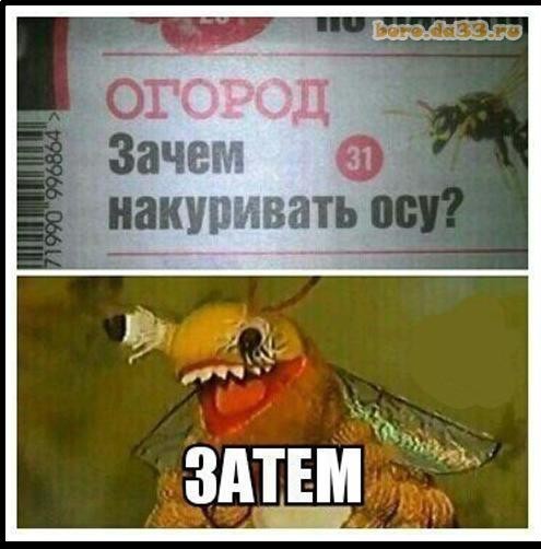 Как я живу 8-ой месяц без алкоголя