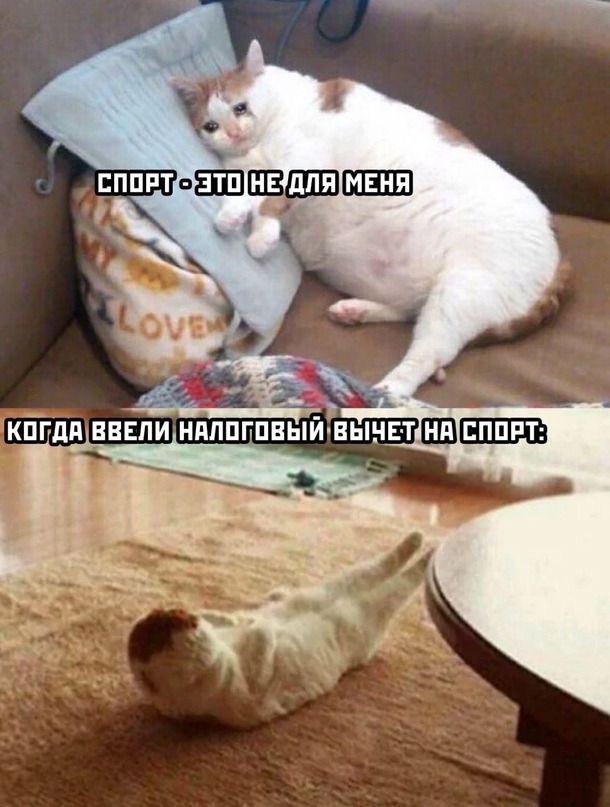 Весёлый полтишок 7.04
