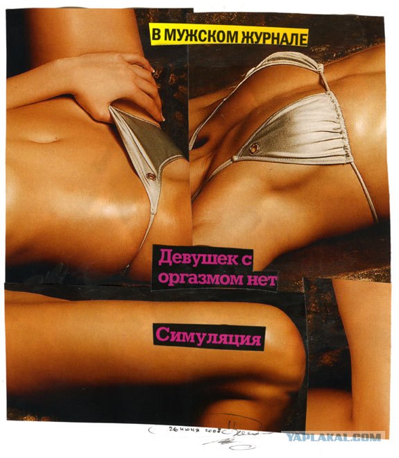 Новые хокку в картинках