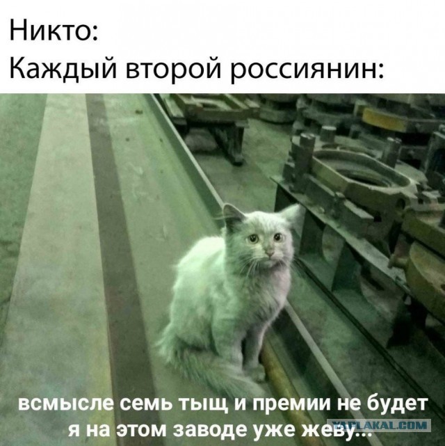 Кретинизмы из сети 19.08.2021