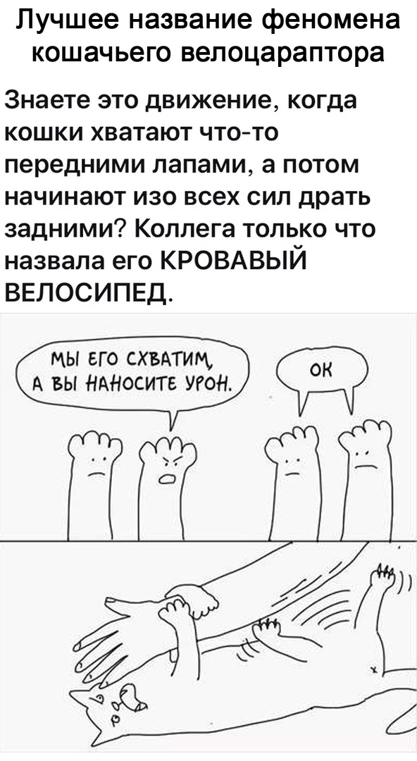Так себе картинки 08.10.21