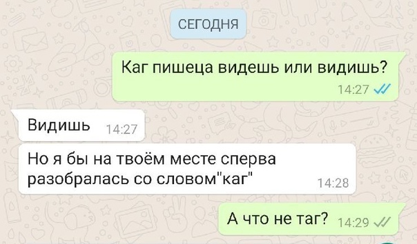 Фотожаба: Три соседа на привале