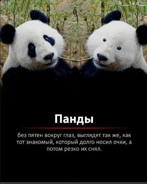 Мемы на конец июля