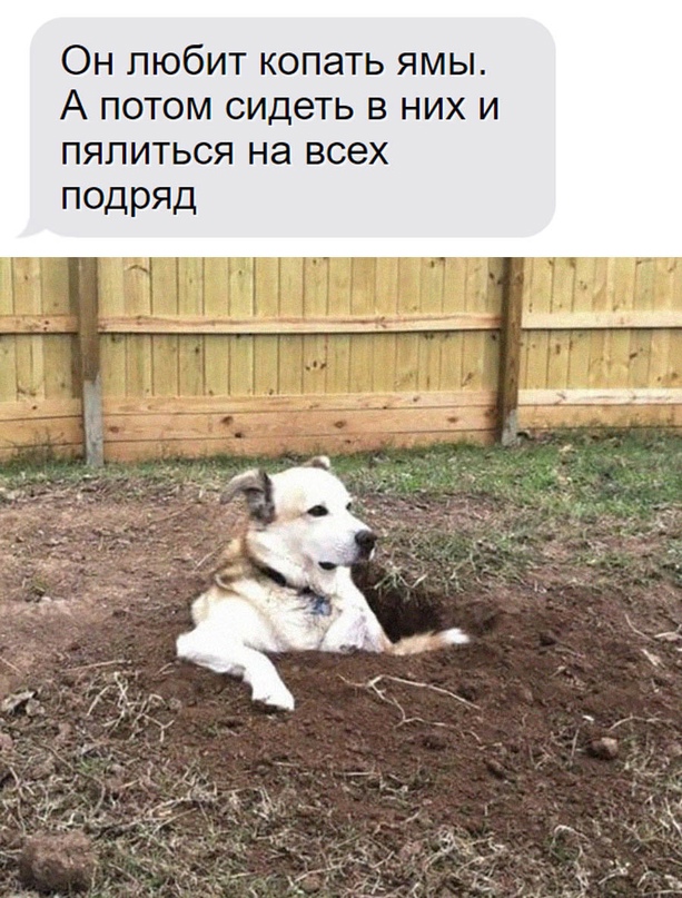 Картинки и мемы для настроения - 119