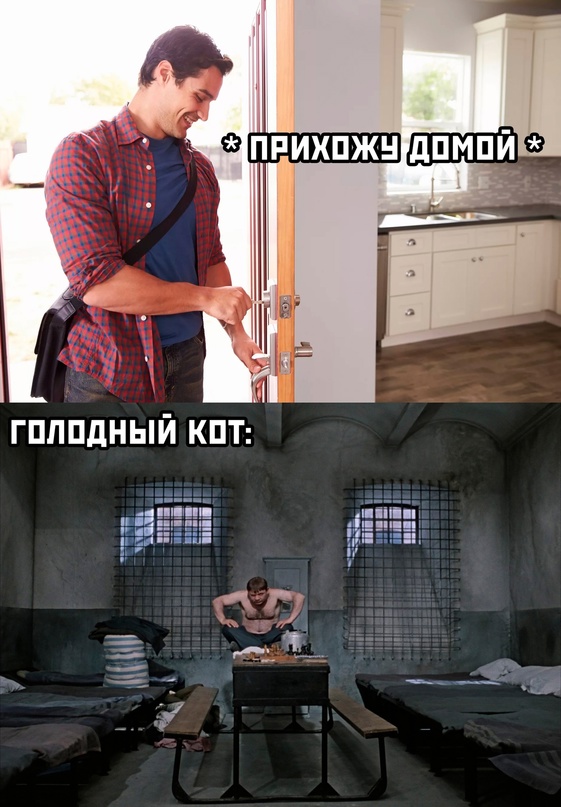 Весёлый полтишок 31.01.23