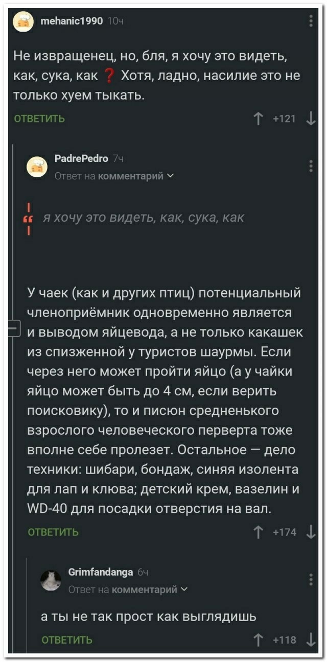 Все любят баню