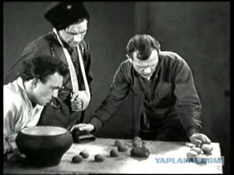 Кавалерия на СВО