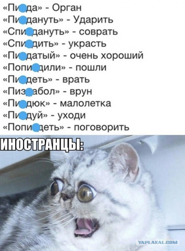 Так себе картинки 01.10.23
